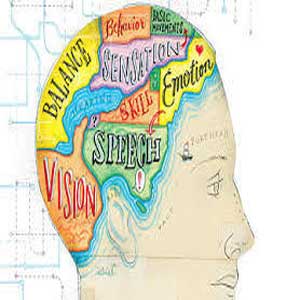 Communication with Cognitively Impaired Clients