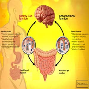 Alzheimer’s Disease and Related Disorders Level II Training