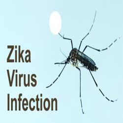 The complications Zika Virus disease